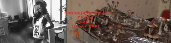 а пвп мука Балахна